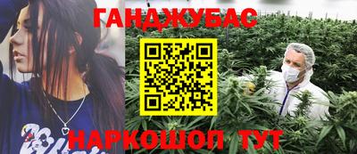 крисы Гай