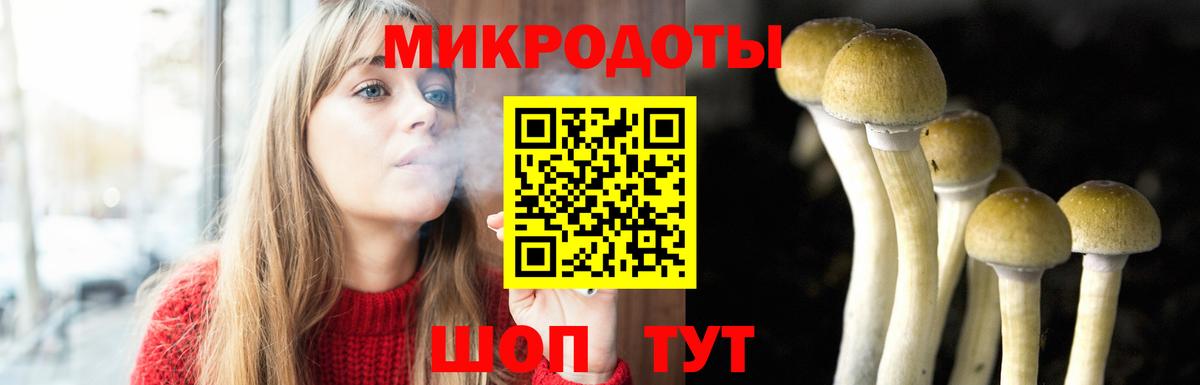 Псилоцибиновые грибы мицелий  Галлюциногенные грибы мицелий  Новоалександровск  Вход с VPN 