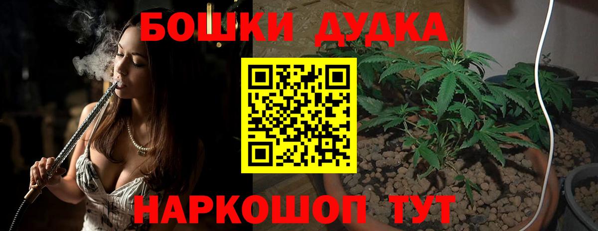 Конопля план Новоалександровск